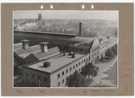 Exteriör, 1948, 02
