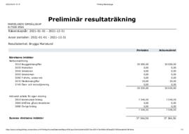 Resultaträkning MS-bryggan 2021