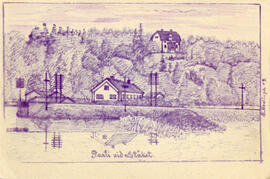 Vykort. Parti vid Stäket