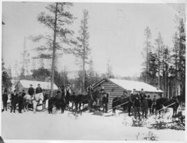 Fotografi, Skogsförläggning i Linsäll, Härjedalen