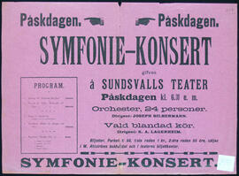 Affisch nr 2491, konsert
