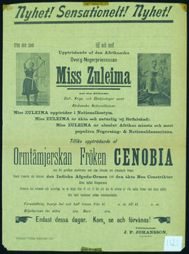 Affisch nr 1121, cirkus