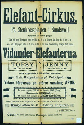 Affisch nr  0311, cirkus