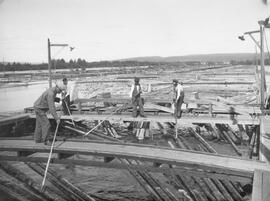 Fotografi, Lövuddens sorteringsstation för timmer