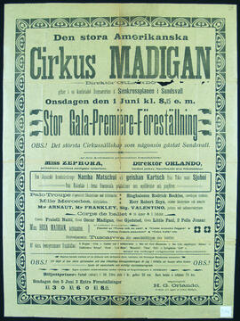 Affisch nr 0314, cirkus