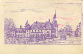 Vykort. Bro, Lejondal