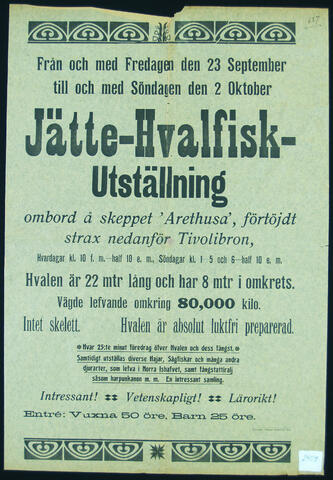 Open original Digitalt objekt