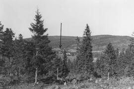 Fotografi, Landskap, Medelpad, 1930-1950-tal