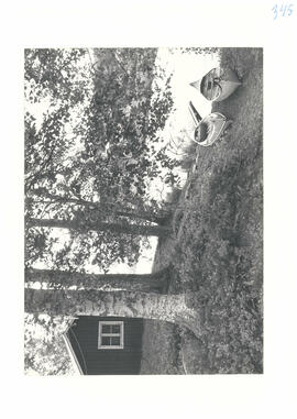 Finnbilder nro 345